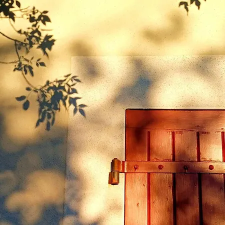 Terrasse Du Midi * Aigremont
